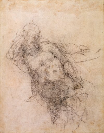 Study for Noah in 